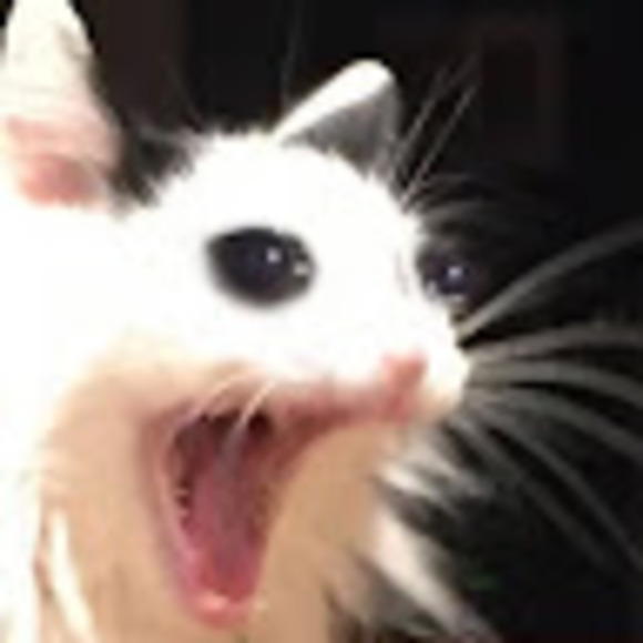 fedouchee
